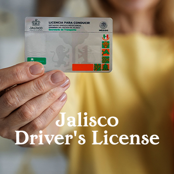 Driver's License