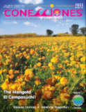 Conecciones Cover October 2020
