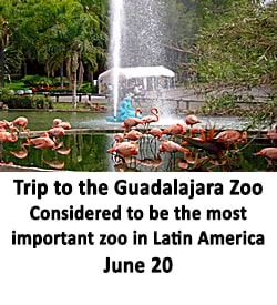 Trip to Guadalajara Zoo