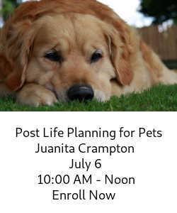 Post Life Planning for Pets